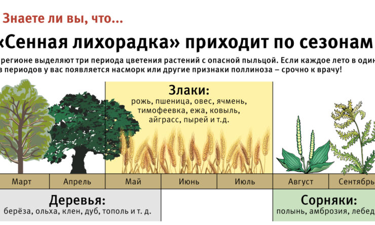 Симптомы и лечение поллиноза